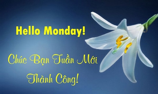 chúc đầu tuần
