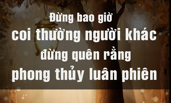 stt khinh thường