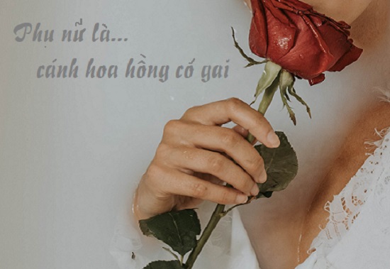 tus về hoa hồng