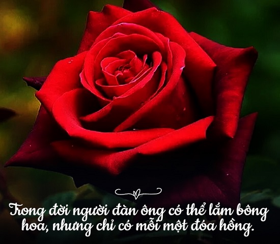 caption hoa
