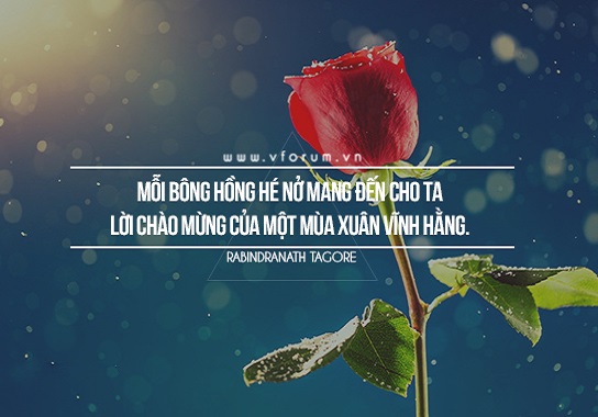 cap hay về hoa