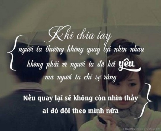 stt chia ly