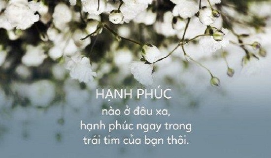 stt tình yêu hạnh phúc