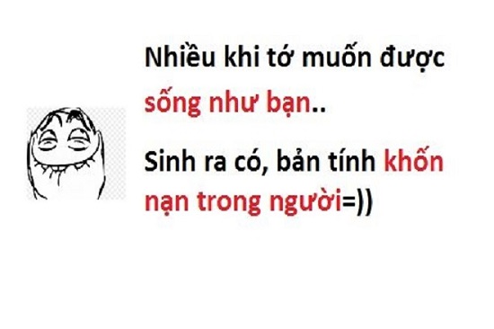stt tình bạn