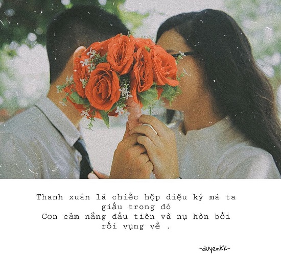 stt tuổi học trò