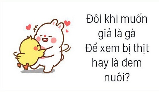 stt hay khi đăng ảnh